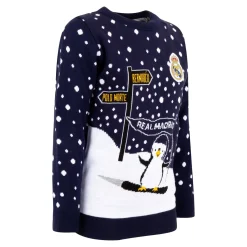 Enfant Foundry Sweats^Pull de Noël Pingouin jeune