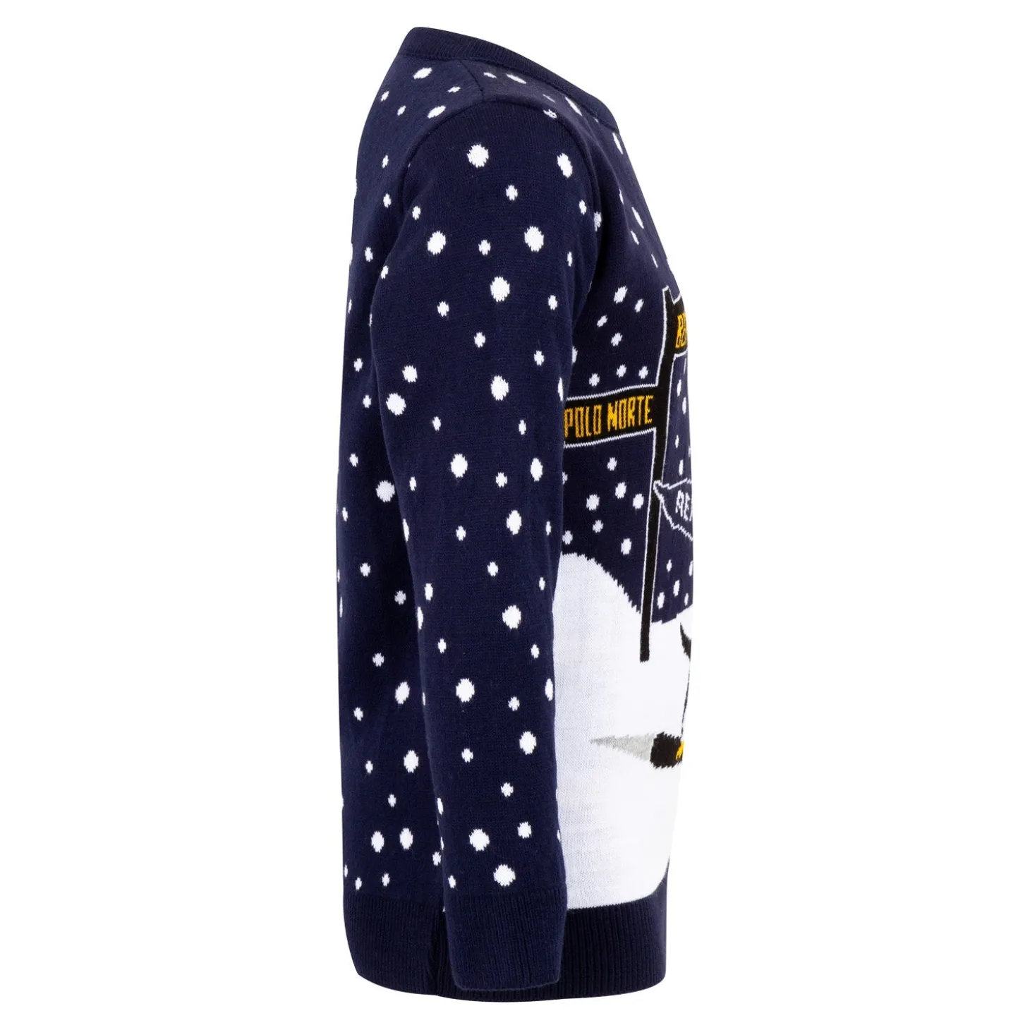 Enfant Foundry Sweats^Pull de Noël Pingouin jeune