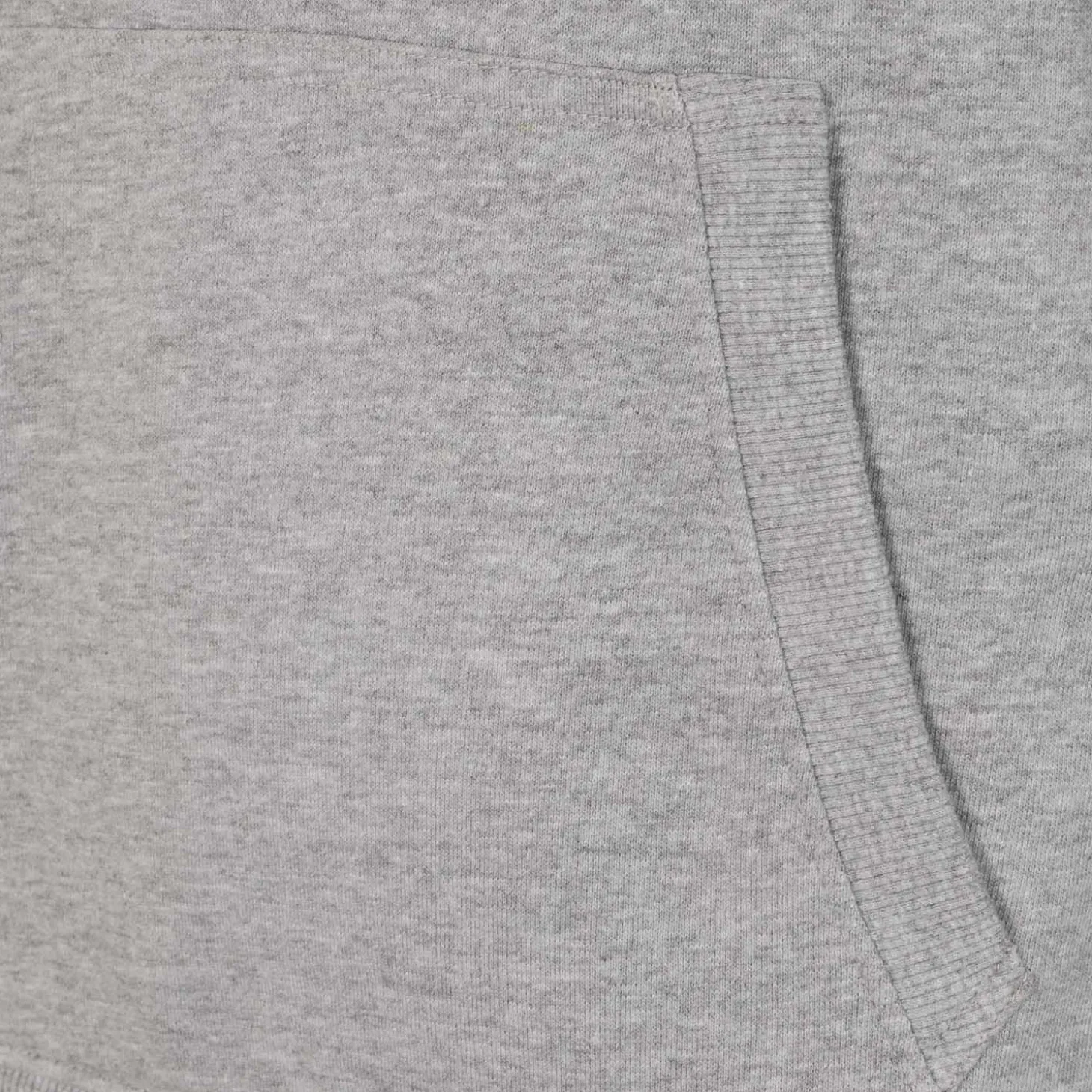 Homme T&F Sweats^Sweat à Capuche Essentials Color Écusson Gris Clair Hommes