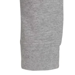 Homme T&F Sweats^Sweat à Capuche Essentials Color Écusson Gris Clair Hommes