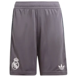 Enfant Adidas España, S.A.U Pantalons^Troisième Short 24/25 Gris Graphite jeunes