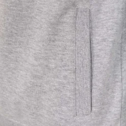 Femme T&F Sweats^Veste à Capuche Essentials Gris Clair Femmes
